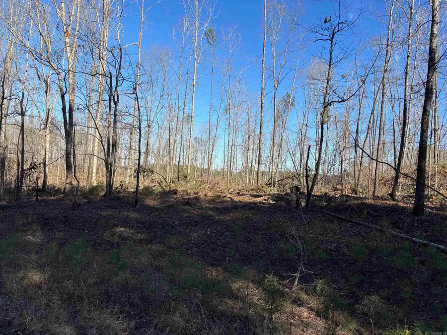 000 Philis Dr, Hensley, AR 72065 - #3