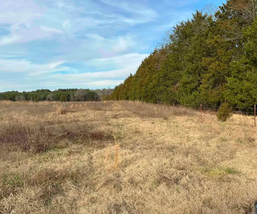 TBD Cash Springs, Greenbrier, AR 72058 - Image #3