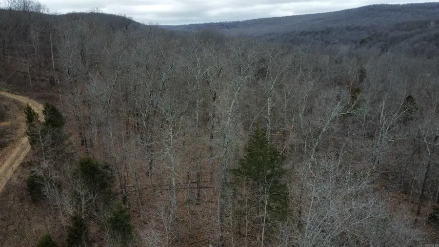 TBD Sr 142 Highway, Carrollton, AR 72638 - Image #2