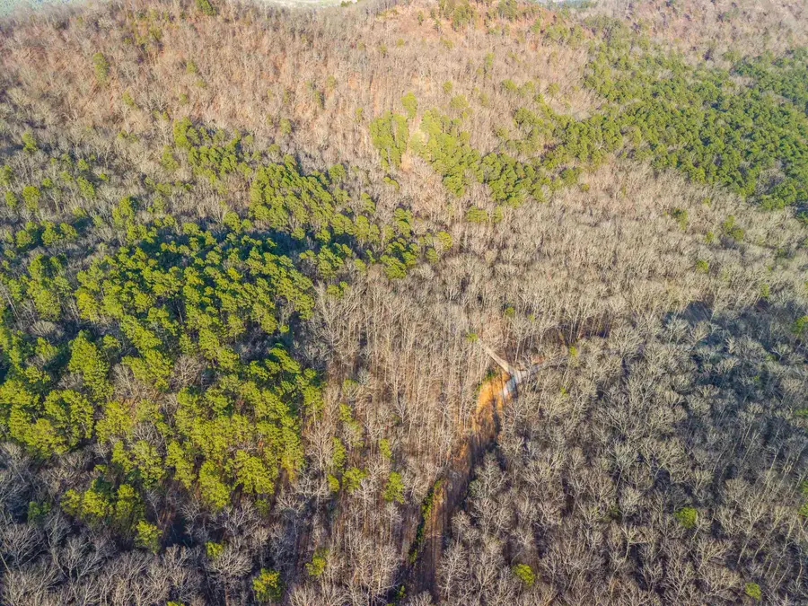 116 Blackcat Trail, Royal, AR 71968 - Image #3