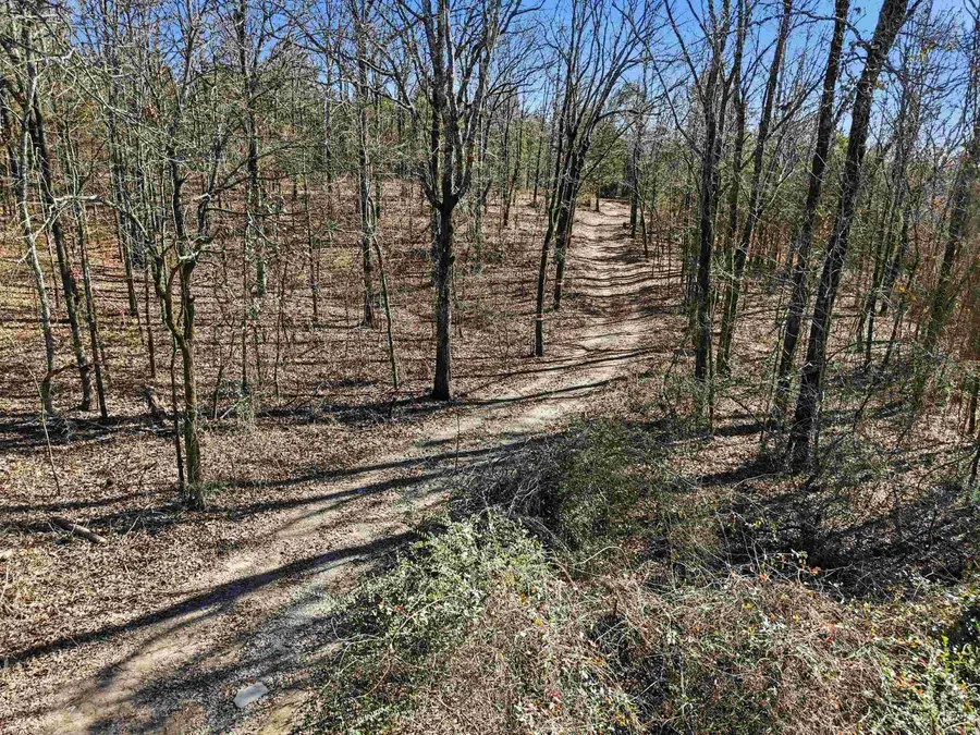 00 Manning Road, Mount Vernon, AR 72111 - #3