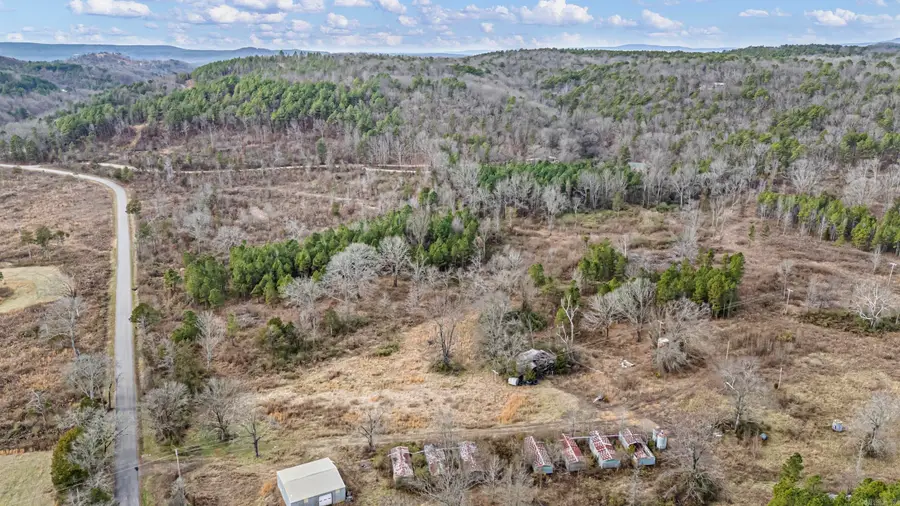36 Acres Off Booger Hollow Road, Dover, AR 72837 - #3