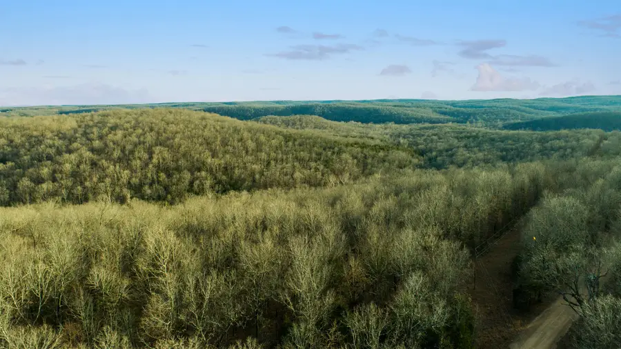 xxx Spring River Ranch Road, Williford, AR 72482 - Image #3