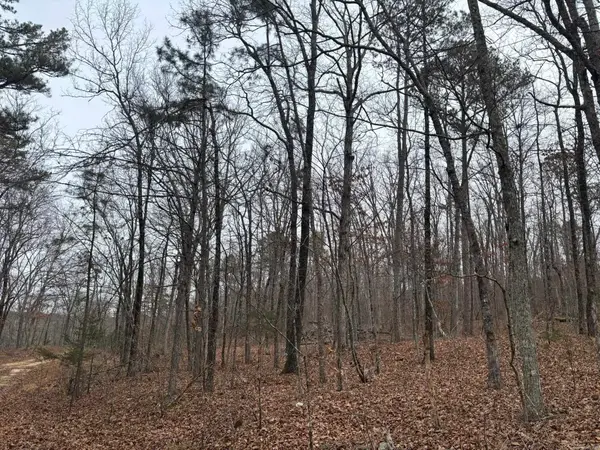 000 Edge Road, Clinton, AR 72031