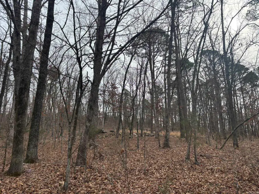 000 Edge Road, Clinton, AR 72031 - #2