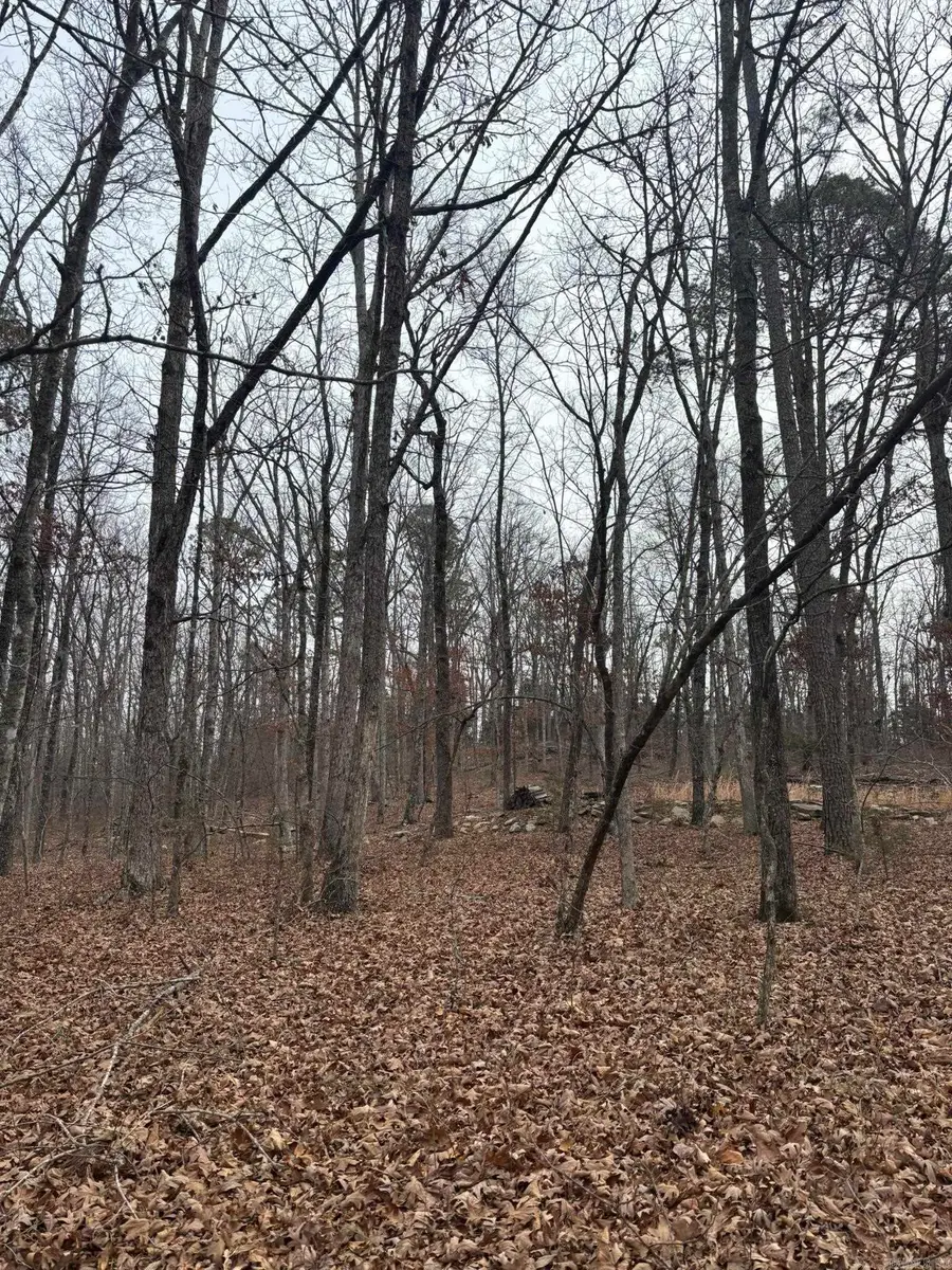 000 Edge Road, Clinton, AR 72031 - #3