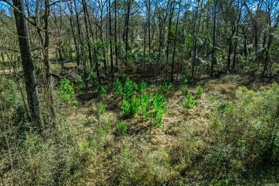 TBD North Park Drive, Arkadelphia, AR 71923 - Image #3
