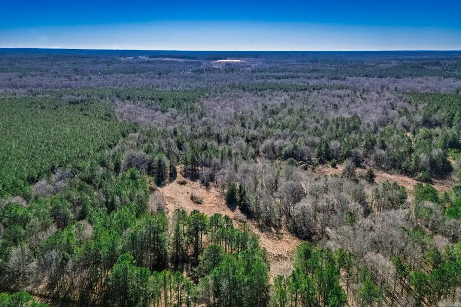 TBD 57 Highway, Stephens, AR 71764 - #3