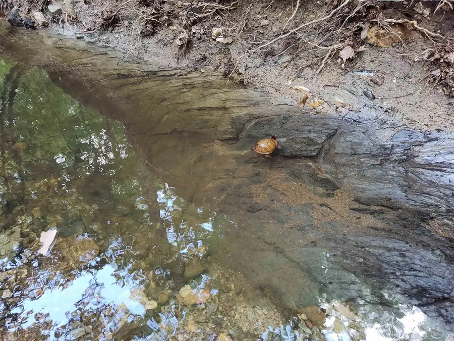 10601 9 Highway, Benton, AR 72019 - #2