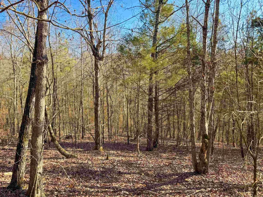 370 Guy Lane, Quitman, AR 72131 - Image #2