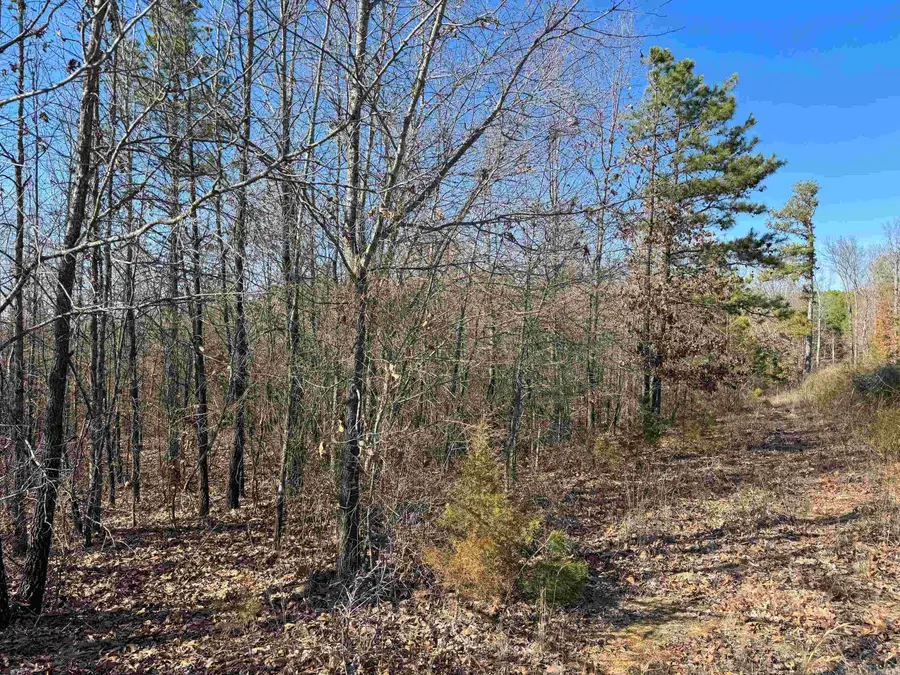 100 Guy Lane, Quitman, AR 72131 - Image #3