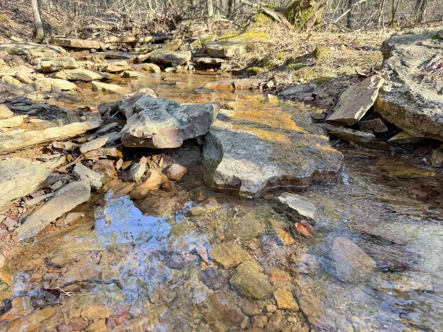 102 Guy Lane, Quitman, AR 72131 - Image #3