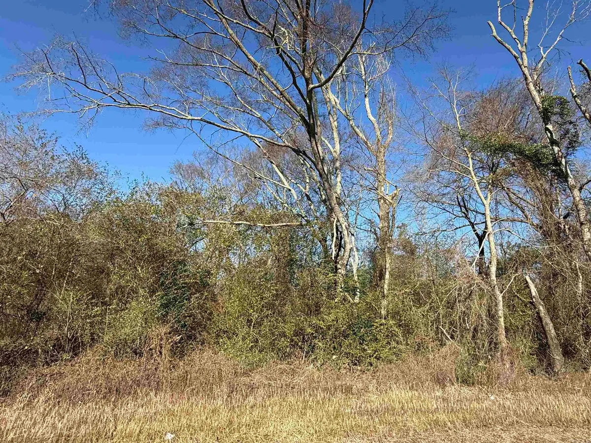 TBD Russell Road, Nashville, AR 71852 - Image #1