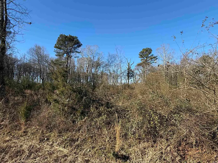 TBD Russell Road, Nashville, AR 71852 - Image #3