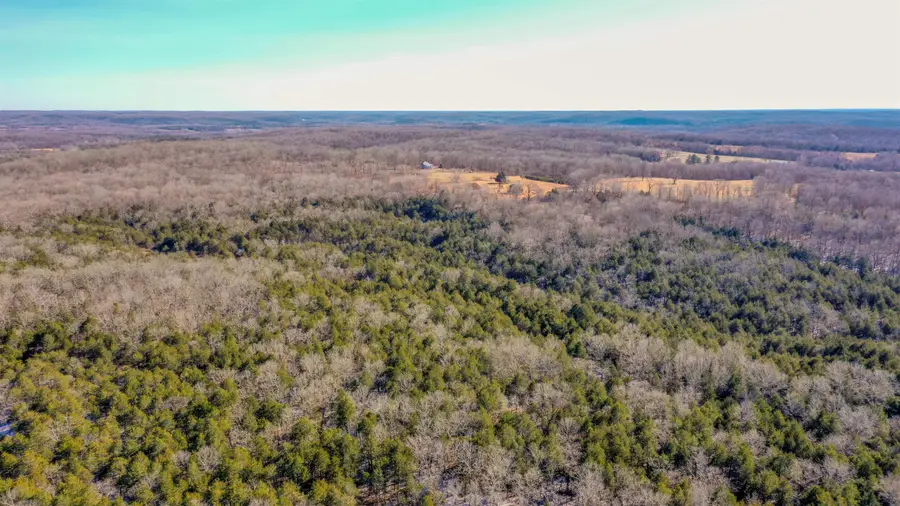 Lot 21 Fawn Ridge Lane, Williford, AR 72482 - #3