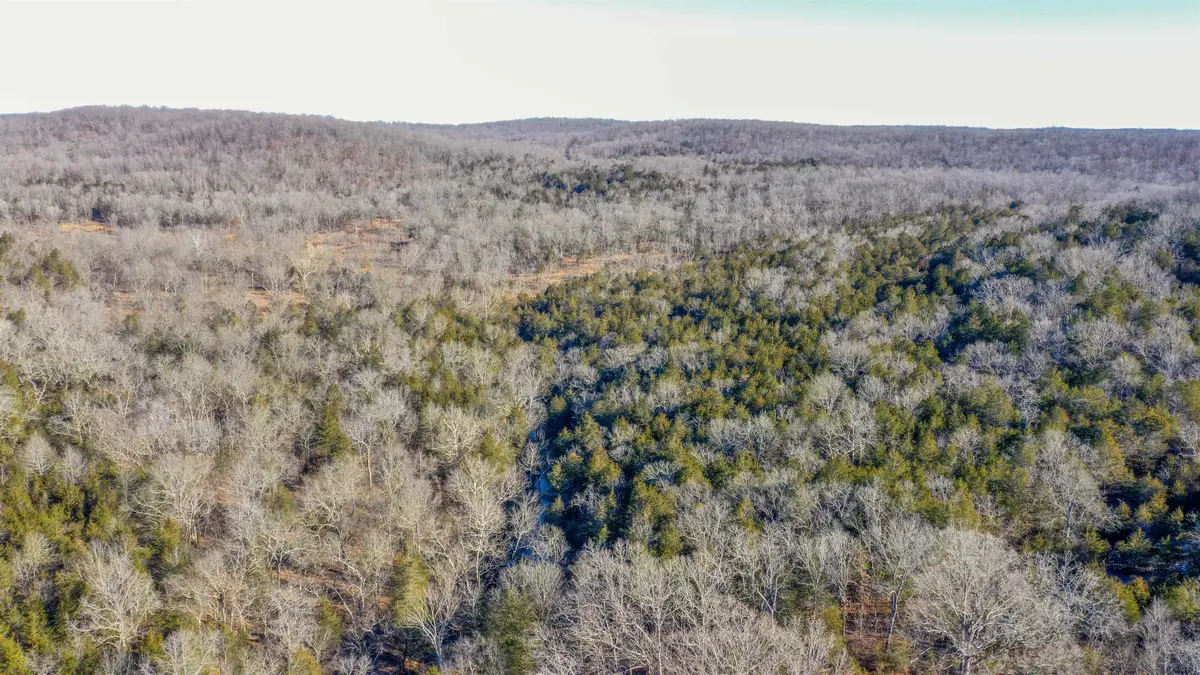 Lot 73 Big Buck Lane, Williford, AR 72482 - Image #1
