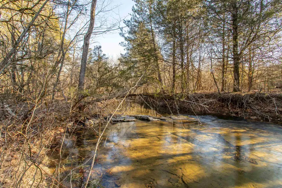 Lot 73 Big Buck Lane, Williford, AR 72482 - Image #2