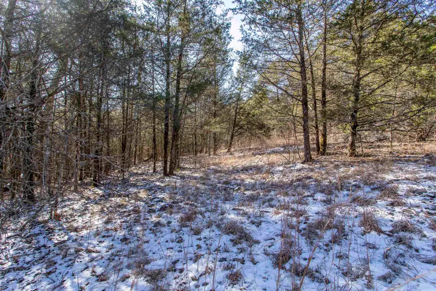 Lot 73 Big Buck Lane, Williford, AR 72482 - Image #3