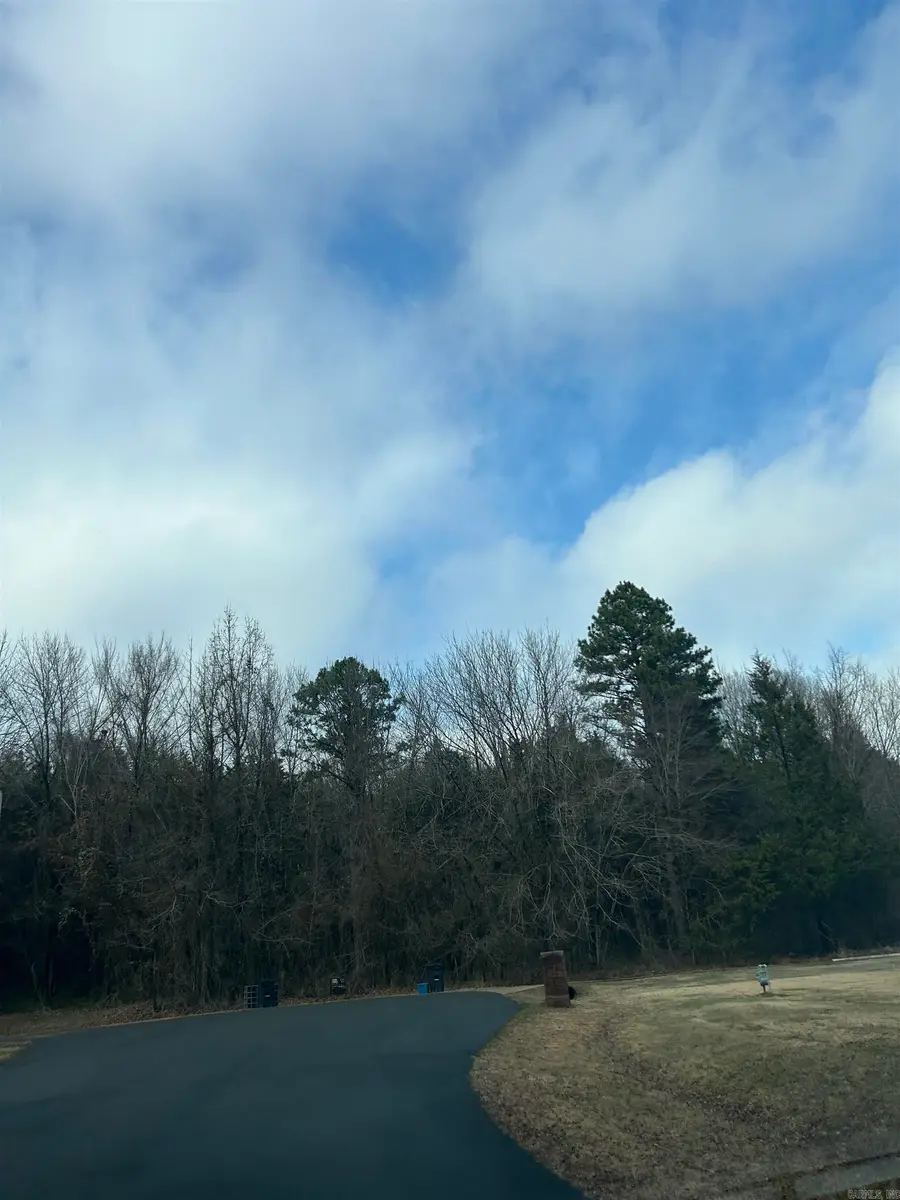 00 Blake Cove Lane, Greenbrier, AR 72058 - Image #3