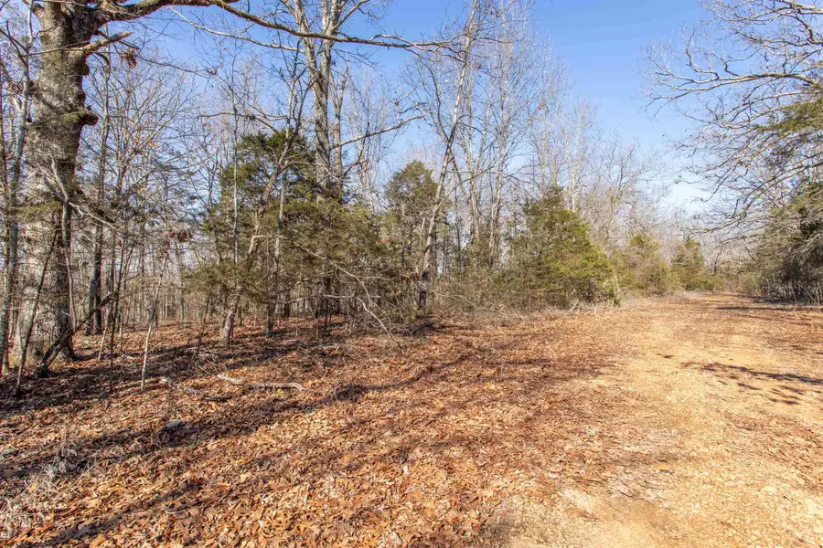 Lot 64 Big Buck Lane, Williford, AR 72482 - Image #2