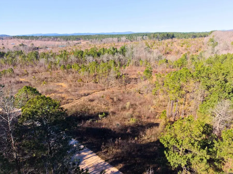 300 Block Angel Street, Amity, AR 71921 - #3