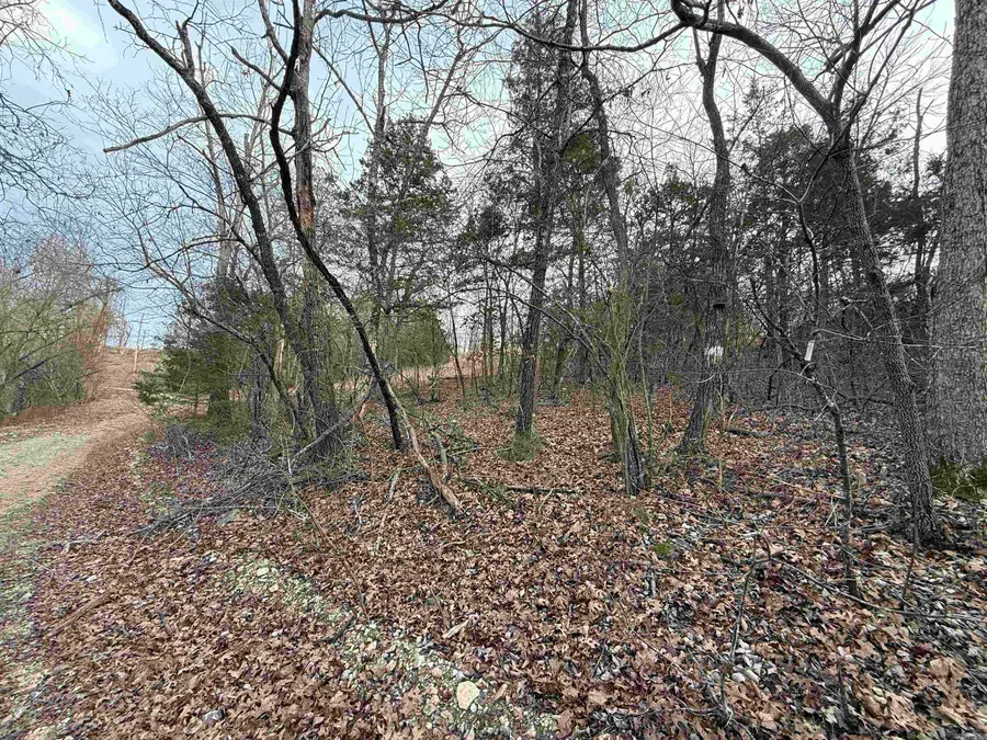 001 Mallard Drive, Diamond City, AR 72630 - #3