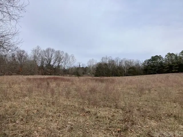 2866 Stokes Rd, Maynard, AR 72444 - #3