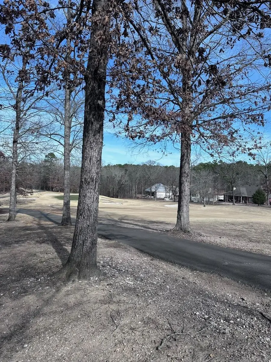 44 Baltanas Way, Hot Springs Village, AR 71909 - Image #3