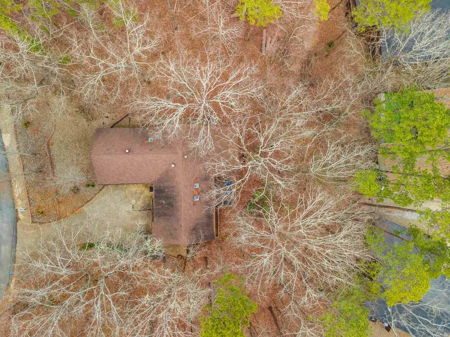 38 Pego Circle, Hot Springs Village, AR 71909 - #2