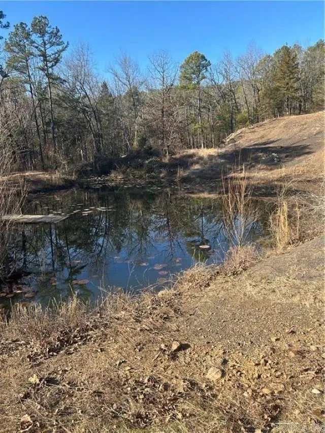 15486 Slo Fork Road, Dardanelle, AR 72834 - Image #3