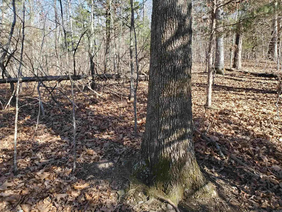 15776 Hwy 74 E Tract #1, Marshall, AR 72650 - #3