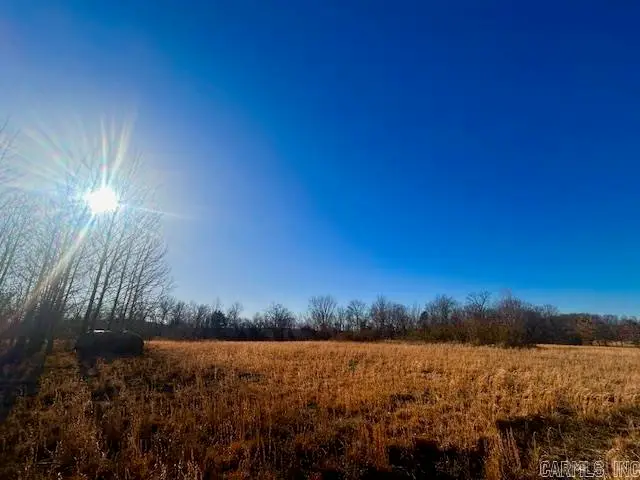 Bob Davis Mountain Road, Pleasant Grove, AR 72567 - #1