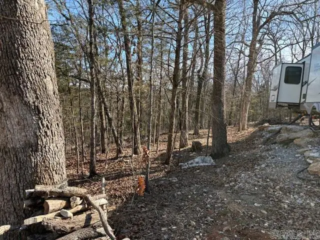 143 Mc 2073, Lead Hill, AR 72644 - Image #3