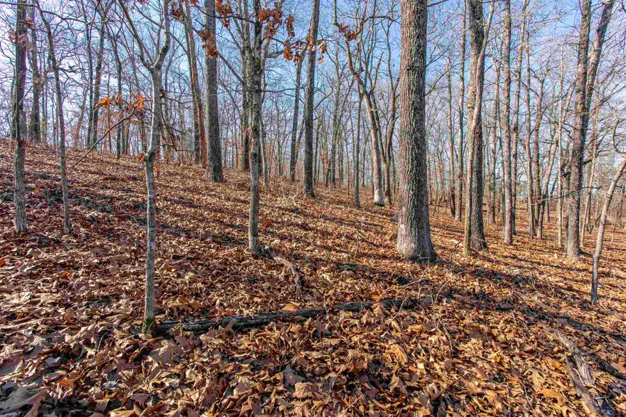 000 Buck Ridge Lane, Williford, AR 72482 - Image #2