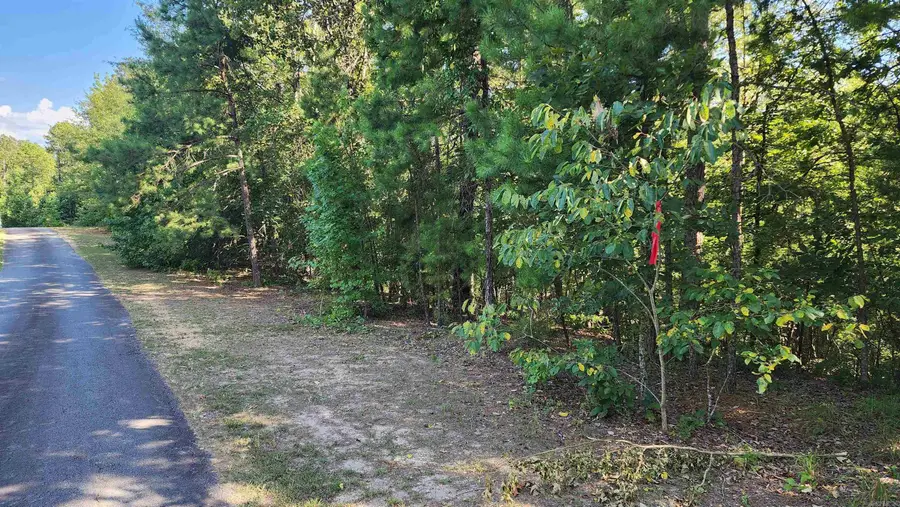 Lot 7 Oversprings Drive, Alexander, AR 72002 - #2