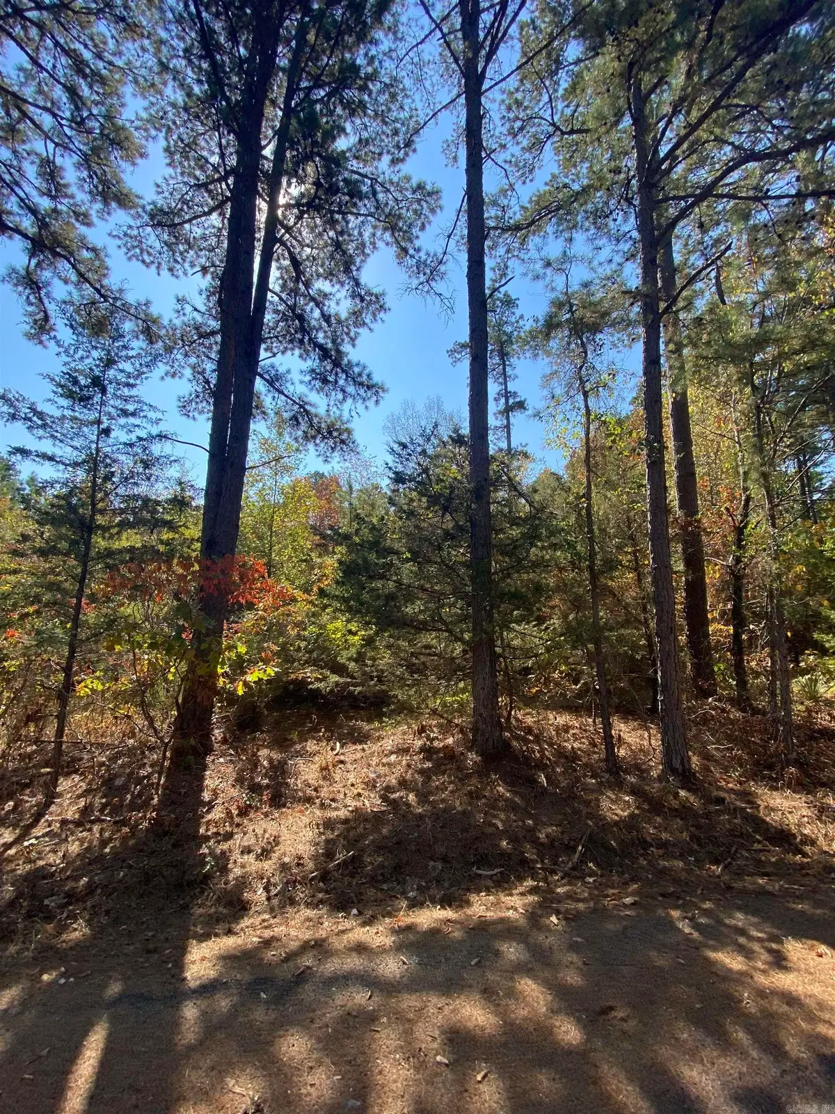 00 Twin Coves Circle, Greers Ferry, AR 72067 - Image #1