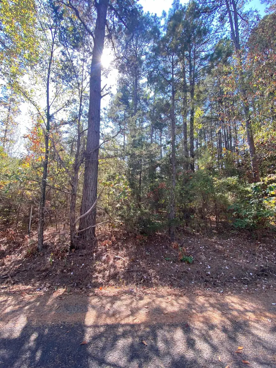 00 Twin Coves Circle, Greers Ferry, AR 72067 - Image #2