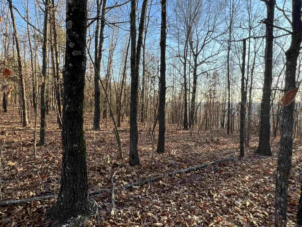 Prayer Mountain Drive, Harrison, AR 72601 - Image #1