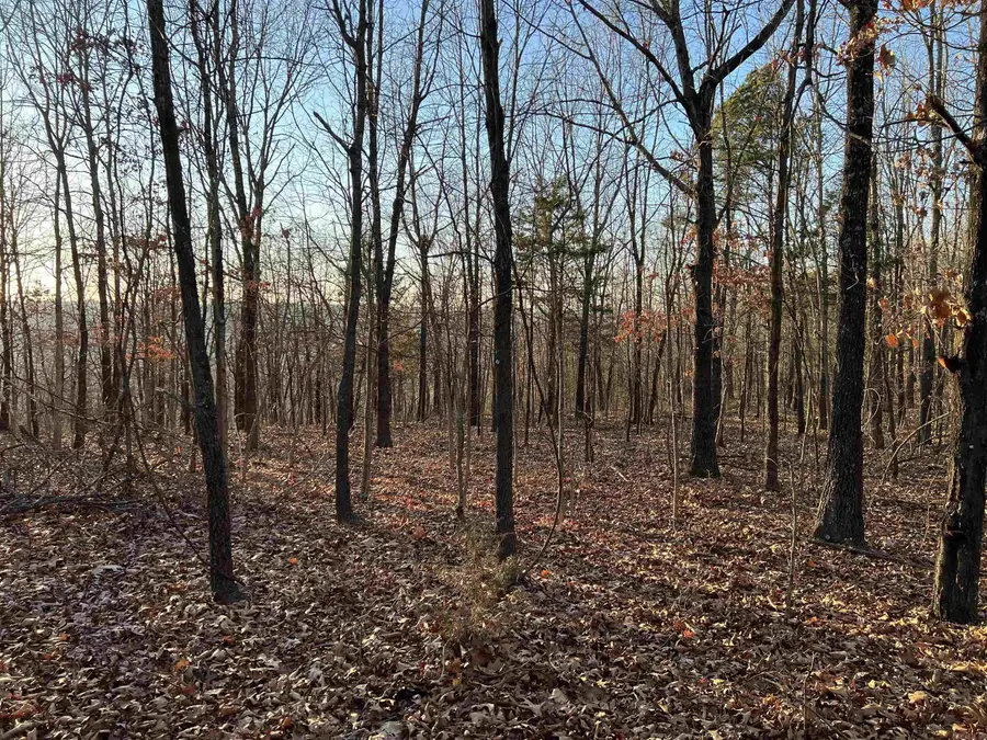 Prayer Mountain Drive, Harrison, AR 72601 - Image #2