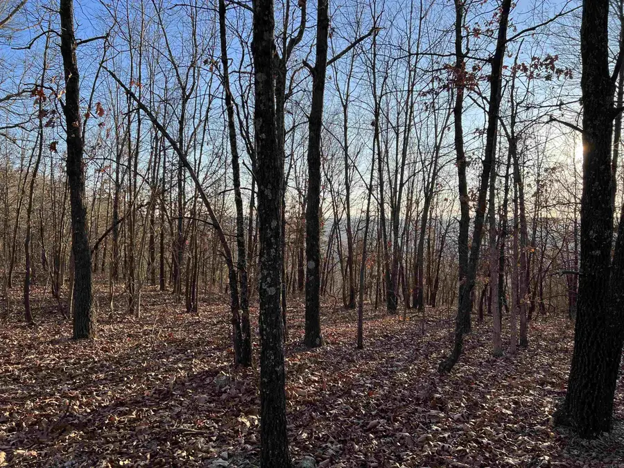 Prayer Mountain Drive, Harrison, AR 72601 - Image #3