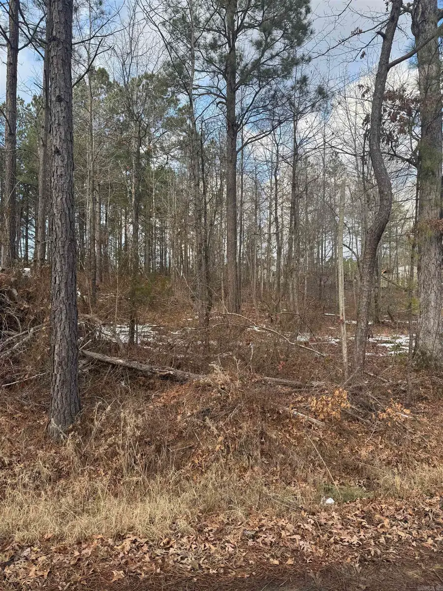 000 Carolyn Lane, Mabelvale, AR 72103 - Image #2