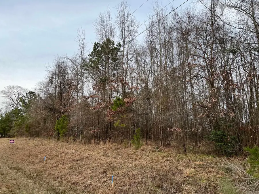0 N Brice Horton Road, Delight, AR 71940 - #2