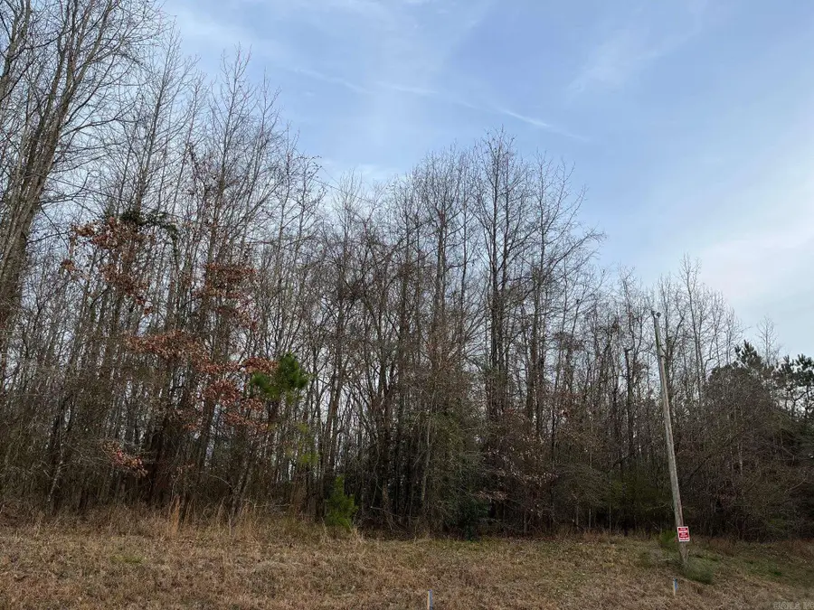 0 N Brice Horton Road, Delight, AR 71940 - #3