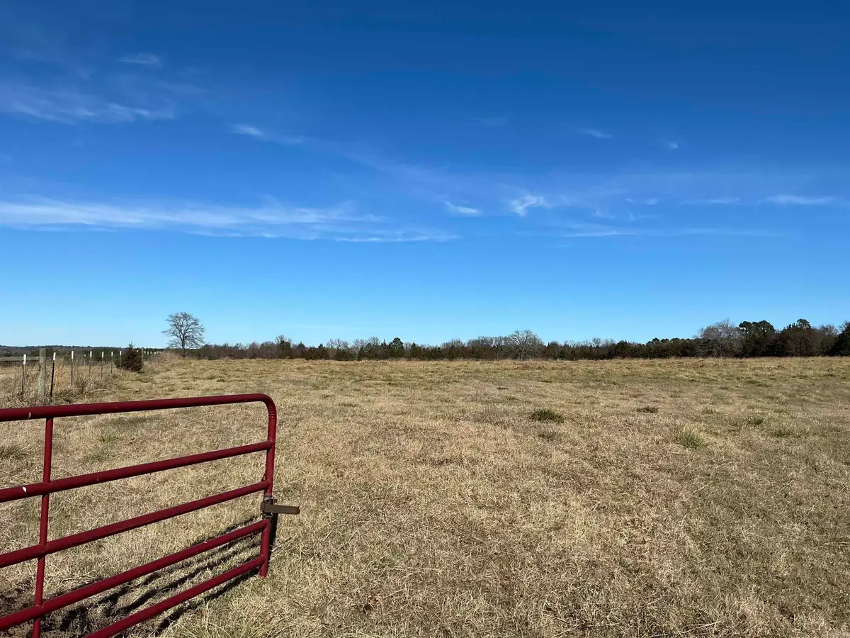 TBD Cash Sparings Road, Greenbrier, AR 72058 - Image #1