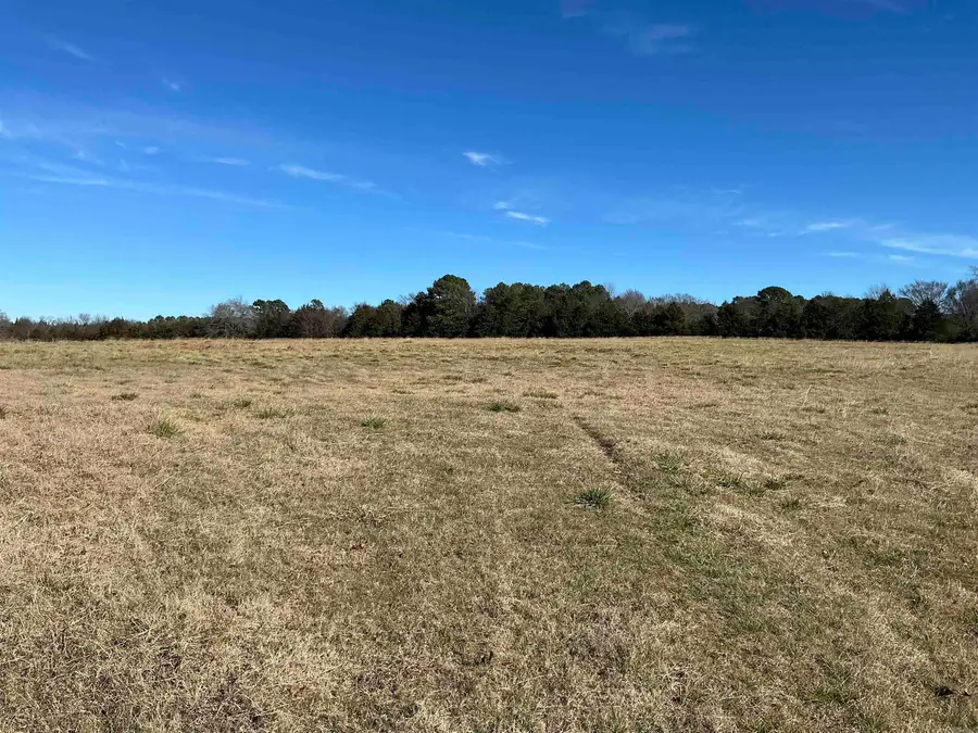 TBD Cash Sparings Road, Greenbrier, AR 72058 - Image #3