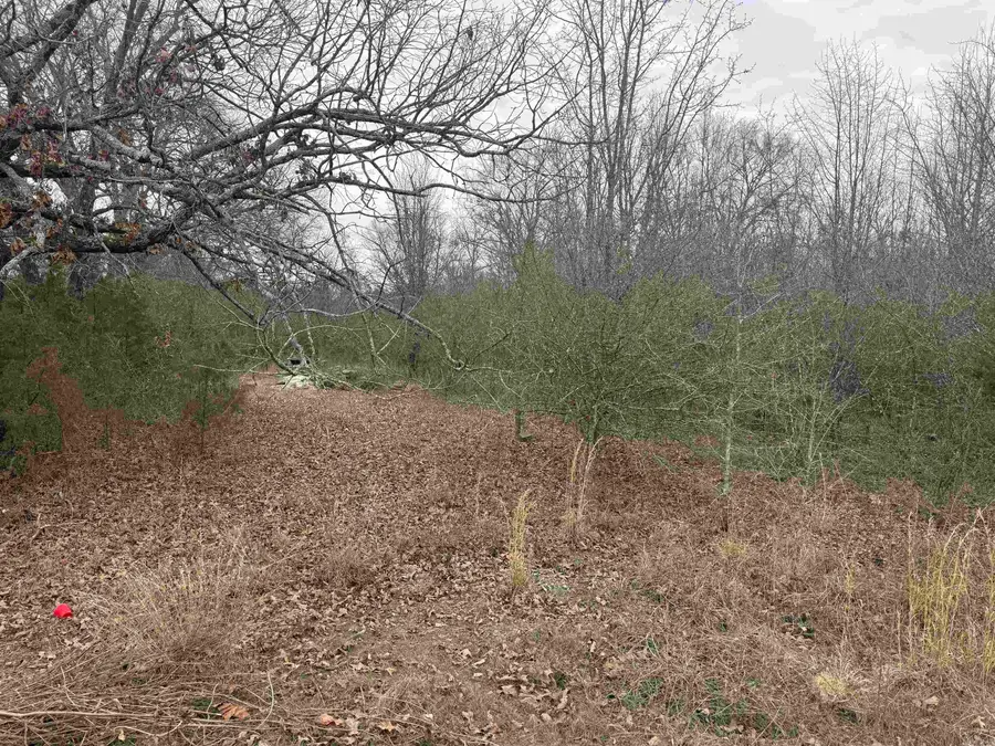 000 Black Road, Conway, AR 72032 - Image #2