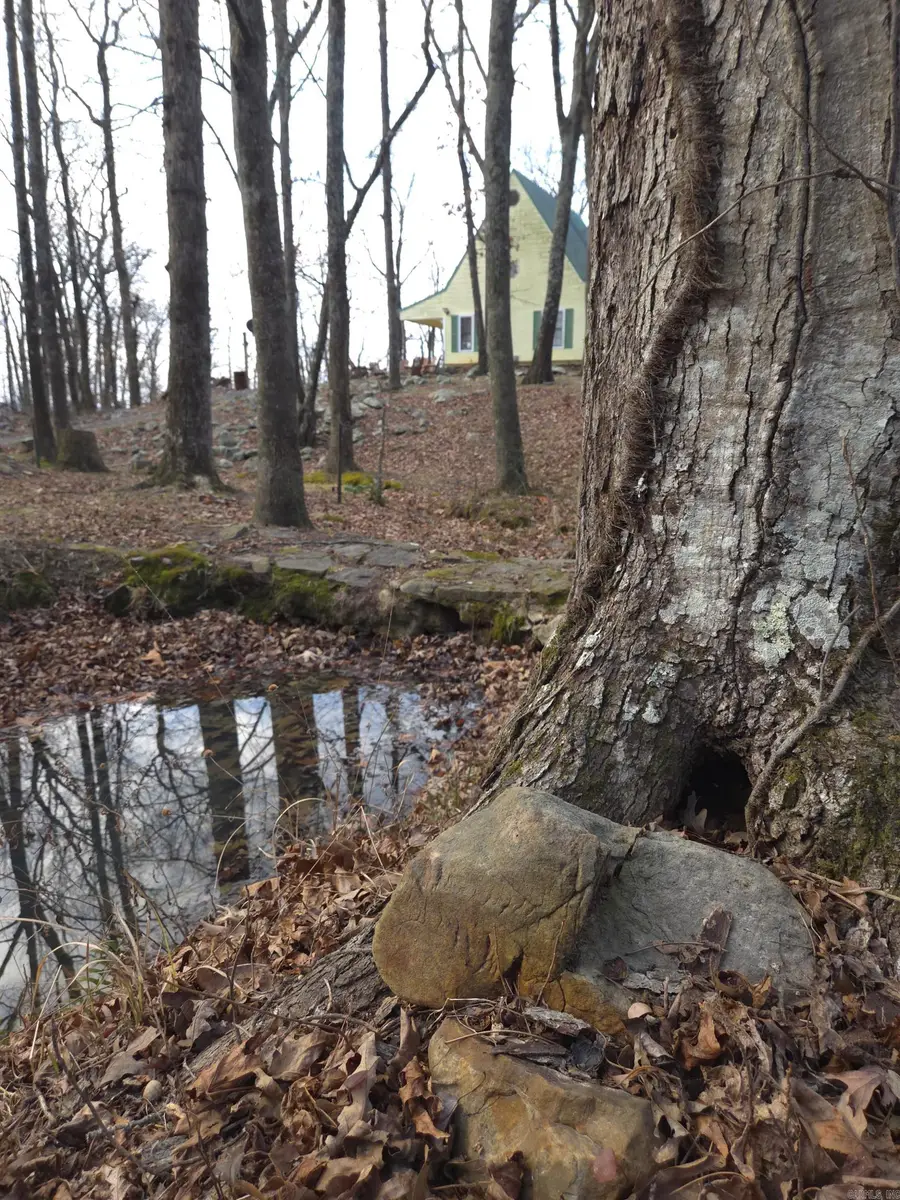 193 Shanendoah Lane, Mena, AR 71953 - Image #2