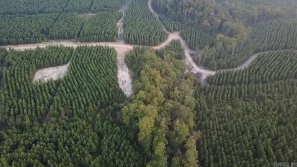 Tract 2C Avalon Lake Lane, Mena, AR 71953