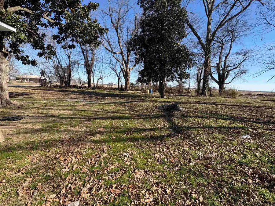 300 Delmer St Street, Datto, AR 72424 - #3