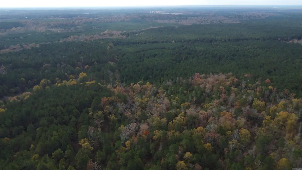 Address Withheld By Seller, Joan, AR 71923 - #1